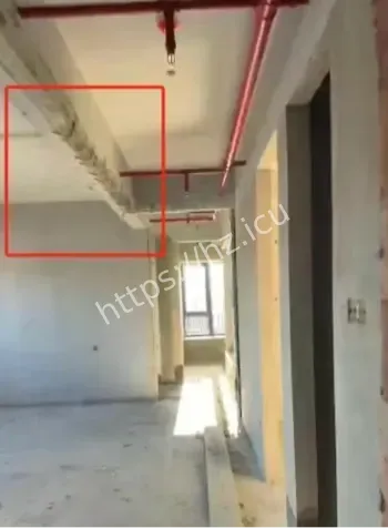 上海厨改卧出租致人死亡